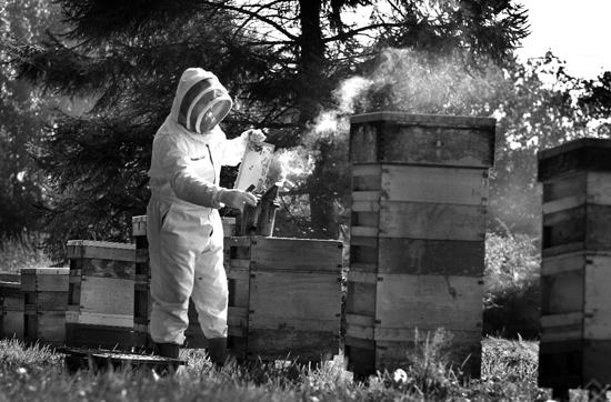 2007-08-24, Graham Rowden, beekeeper, Steep Marsh near Petersfield